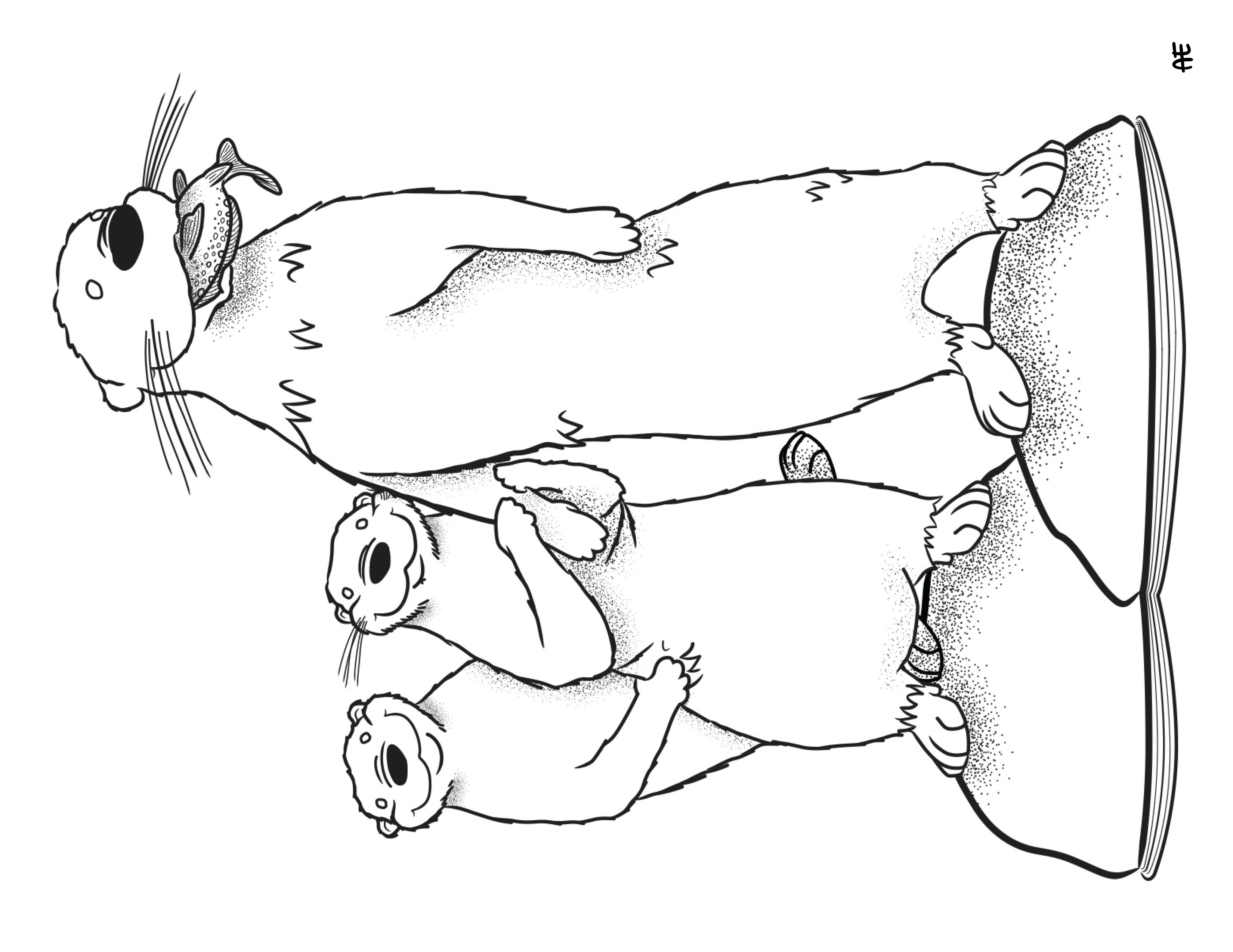 Coloring Downloads Otters Coloring Downloads Otters